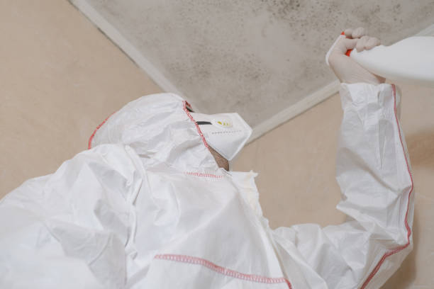 Best Local Mold Removal Service  in Miami Heights, OH