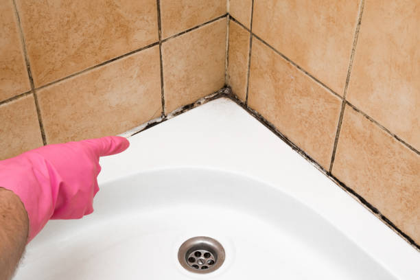 Best Emergency Mold Removal  in Miami Heights, OH